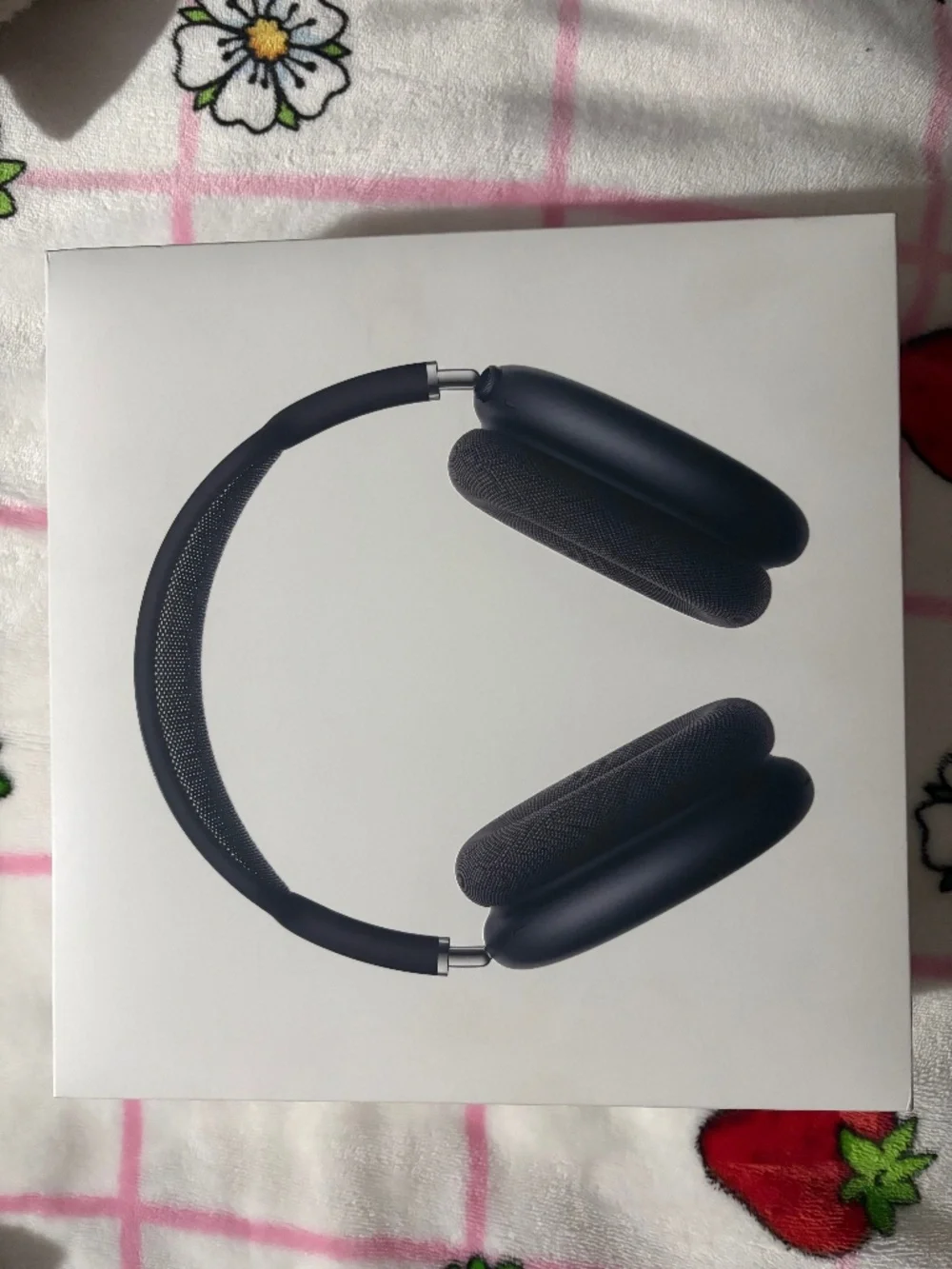 Air Pod Max